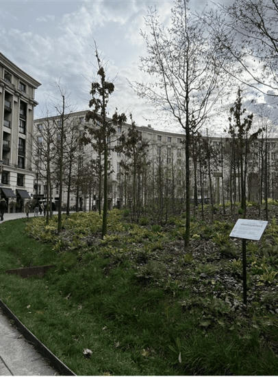 ParisPluie : un plan innovant pour l’eau en ville | Urbanisme - Aménagement | Scoop.it