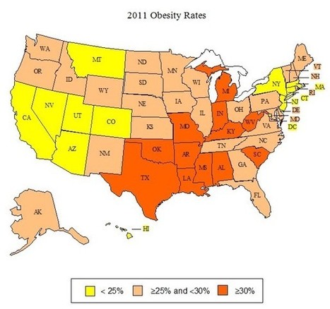 New analysis indicates America remains obese | Longevity science | Scoop.it