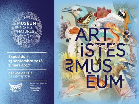Le Mus&eacute;um national d&rsquo;Histoire naturelle raconte 400 ans de dialogue entre art et science | EcritureS - WritingZ | Scoop.it