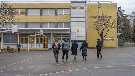 M&eacute;diation scolaire : pour le bien‑&ecirc;tre des coll&eacute;giens - La M&eacute;tropole de Lyon | Labo Cit&eacute;s - L'actualit&eacute; de la politique de la ville en Auvergne-Rh&ocirc;ne-Alpes | Scoop.it