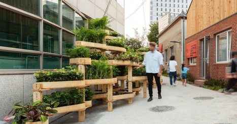 GrowMore : une jardinière modulaire au design éco-conçu | Build Green, pour un habitat écologique | Scoop.it