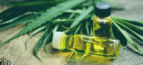 The rise of medical cannabis amongst HNWIs | Family Office & Billionaire Report - Empowering Family Dynasties | Scoop.it