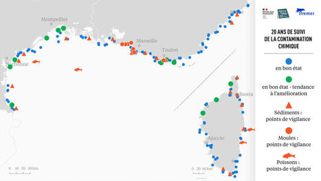 Contamination chimique en M&eacute;diterran&eacute;e : un niveau bas depuis 20 ans mais une vigilance &agrave; maintenir | Biodiversit&eacute; | Scoop.it