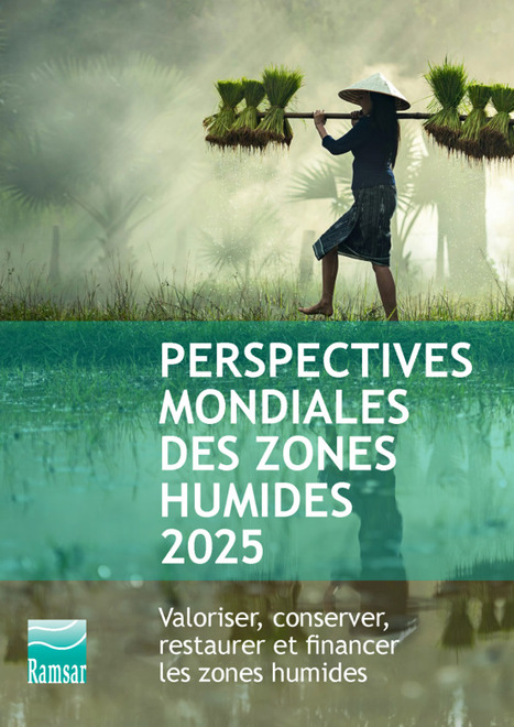 Perspectives mondiales des zones humides 2025 : Valoriser, conserver, restaurer et financer les zones humides. | Biodiversité | Scoop.it
