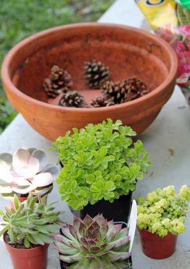 10 trucchi bizzarri da usare per orto e giardino | Orto, Giardino, Frutteto, Piante Innovative e Antiche Varietà | Scoop.it