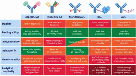If you work in biologics, save this one for later. Antibodies can do far more than stimulate the immune system. Look how adaptable they have become! We often think of a standard monoclonal antibo... | Immunology and Biotherapies | Scoop.it