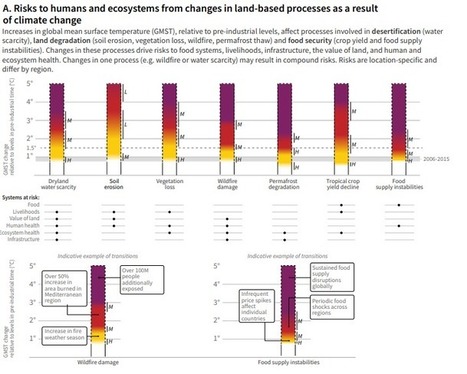 The world needs to eat less meat to save the planet, says UN | GTAV AC:G Y9 - Biomes and food security | Scoop.it