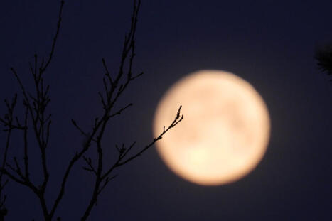 Yliluonnolliset luontokokemukset – nämä oudot tapahtumat lukijamme muistavat aina: ”En ole koskaan kokenut vastaavaa” | 1Uutiset - Lukemisen tähden | Scoop.it