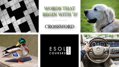 The Weekend Crossword - Words Beginning With D | English Word Power | Scoop.it