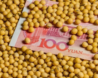 Brazil expected to export record level of soybeans | CORPS GRAS | Scoop.it