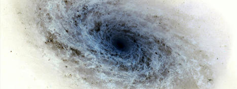 Mysterious Dark Galaxy Emits No Visible Light, Scientists Say | Amazing Science | Scoop.it