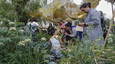Qui a besoin de jardins partagés ? | Paysage - Environnement | Scoop.it