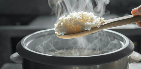 ALIMENTATION : Doit-on laver le riz avant de le faire cuire ? Voici ce que dit la science | CIHEAM Press Review | Scoop.it
