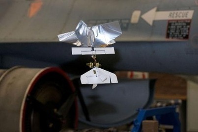 Envol vers le futur avec le DelFly, un "insecte-drone" - La-Croix.com | Pour innover en agriculture | Scoop.it