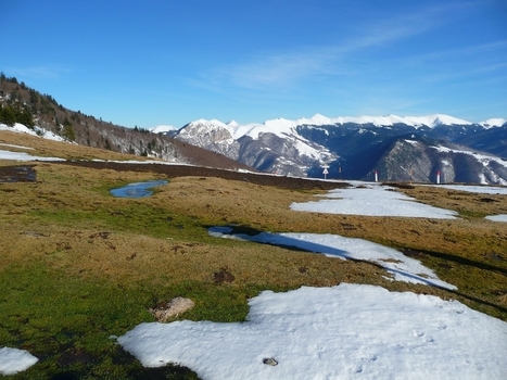 Herbe verte de février à l’Aspin | Le blog de Michel BESSONE | Vallées d'Aure & Louron - Pyrénées | Scoop.it