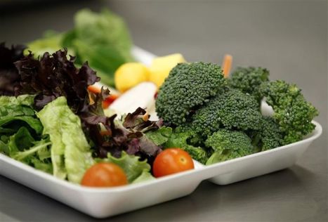 Alimentation végétarienne : c'est aussi bon pour les enfants | Parent Autrement à Tahiti | Scoop.it