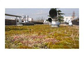 Une toiture végétalisée fait l’électricité - Paperblog | Urbanisme vivant | Scoop.it