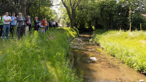 Près de Clermont-Ferrand, la rivière Bédat a bénéficié d'une renaturation - Journal du Bâtiment et des TP | Biodiversité | Scoop.it