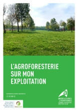 L'agroforesterie sur mon exploitation - Chambre d'agriculture Hauts-de-France | Biodiversité | Scoop.it