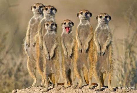 La r&eacute;forme m&rsquo;a tuer | Architecture - Construction | Scoop.it