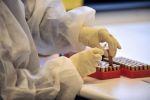 Le retour des maladies que l'on croyait disparues | Microbiologie | Scoop.it