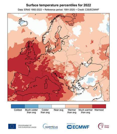 Global Climate Highlights 2022 - Copernicus | Biodiversité | Scoop.it