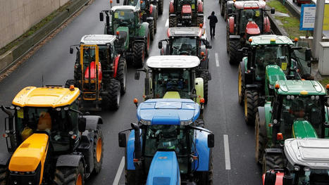 Col&egrave;re des agriculteurs: le mouvement peut-il s'&eacute;tendre &agrave; d'autres professions? | Mouvements Sociaux | Scoop.it