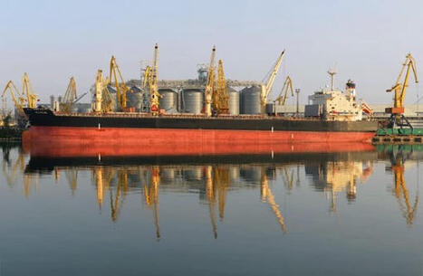 World Bank warns of a riskier future for global grain trade | Miller Magazine | MED-Amin network | Scoop.it