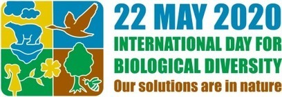 22 May 2020: International Day for Biological Diversity - Convention on Biological Diversity | Biodiversité | Scoop.it