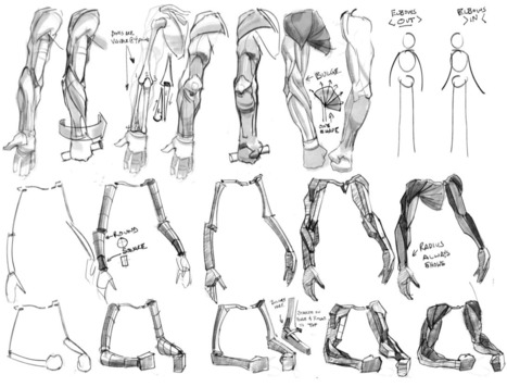 'arm drawing reference' in Drawing References and Resources