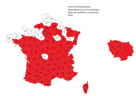 Le ministère de la Santé a diffusé une carte actualisée témoignant de la présence accrue du moustique-tigre sur le territoire français | EntomoNews | Scoop.it