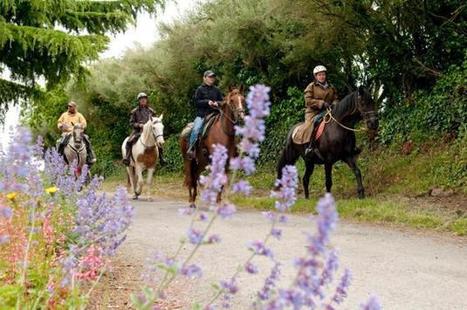 Randonn&eacute;es. Une journ&eacute;e pour d&eacute;couvrir le Pays de Caulnes - Petit Bleu C&ocirc;tes Armor | Cheval et Nature | Scoop.it