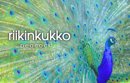 Finnish words - animals | A1Uutiset | Scoop.it