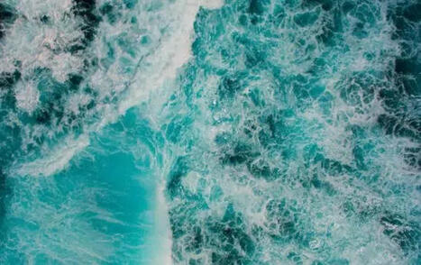 40% des emplois d&eacute;pendent de l'oc&eacute;an en France : un risque n&eacute;glig&eacute; par les entreprises - Utopies | Biodiversit&eacute; | Scoop.it