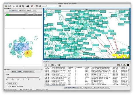 Cytoscape: An Open Source Platform for Complex Network Analysis and Visualization | Amazing Science | Scoop.it