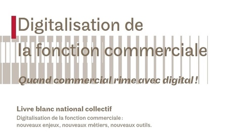 Livre &agrave; t&eacute;l&eacute;charger | Digitalisation de la fonction commerciale | Gratuit | Transition Digitale de l'Entreprise | Scoop.it
