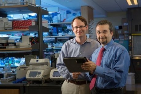 Improved 'liquid biopsy' technique enhances detection of tumor DNA in blood | from Flow Cytometry to Cytomics | Scoop.it
