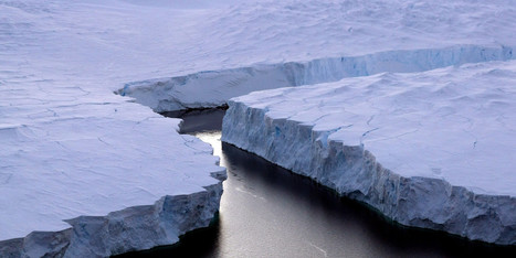 Le changement climatique peut être atténué par les aires marines protégées | Biodiversité | Scoop.it