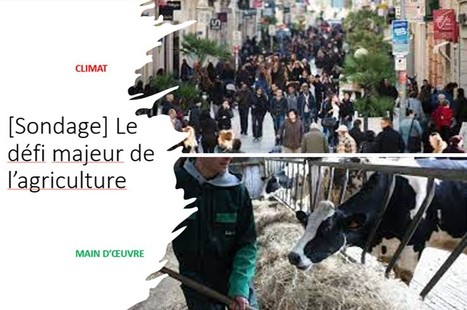 [Sondage] Le défi majeur de l’agriculture | Lait de Normandie... et d'ailleurs | Scoop.it