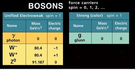 ¿Qué es un bosón?  ¿y que es un bosón gauge? | Ciencia-Física | Scoop.it