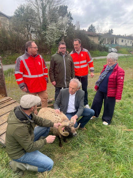L'&eacute;co-p&acirc;turage gagne du terrain sur la ville d'Auch avec un 4e site d&eacute;di&eacute; &agrave; cette pratique &eacute;cologique et p&eacute;dagogique | Professionnels du tourisme du Grand Auch C&oelig;ur de Gascogne | Scoop.it
