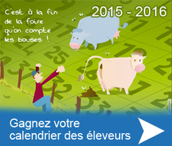 Fin embargo sur la viande bovine par l'Afrique du sud | Economie de l'Elevage | Scoop.it