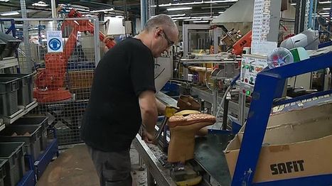 Cévennes : une nouvelle chaussure de sécurité pour faire revivre Jallatte  | Métiers, emplois et formations dans la filière cuir | Scoop.it