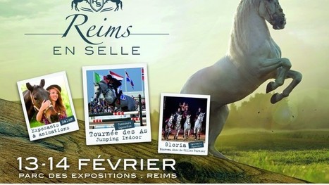 Reims en selle: un nouvel événement équestre d’exception en indoor ! | Salon du Cheval | Scoop.it
