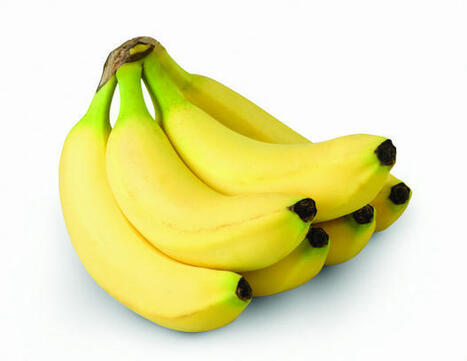 Fruits And Vegetables Can Make For Nutritious Snacks  | FRUITS ET LÉGUMES | Scoop.it