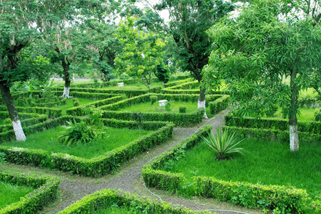 Garden in Angola | 1001 Gardens | 1001 Gardens ideas ! | Scoop.it