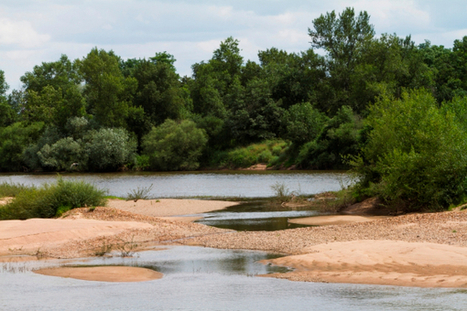 Lettre d'information N° 23 du Centre de ressources Loire nature | Biodiversité | Scoop.it