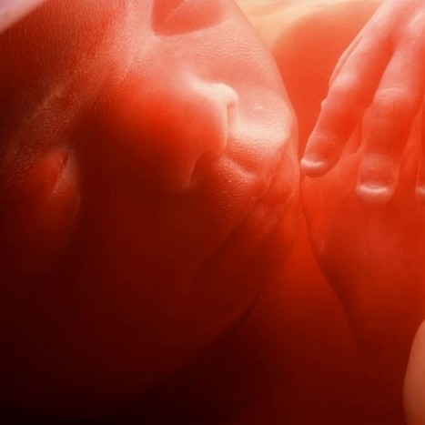CNET : "Bébés génétiquement modifiés, une deuxième femme serait enceinte... | Ce monde à inventer ! | Scoop.it