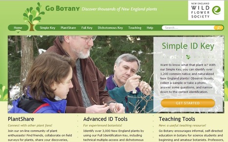 Go Botany: New England Wild Flower Society | Hobby, LifeStyle and much more... (multilingual: EN, FR, DE) | Scoop.it