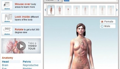 Recursos Online para aprender Anatomía y Fisiología | Educación Física. Compartiendo en la Red | Scoop.it